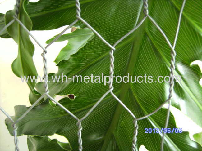 Hexagonal wire netting barrier