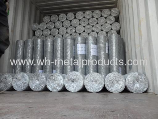 Hexagonal wire netting barrier