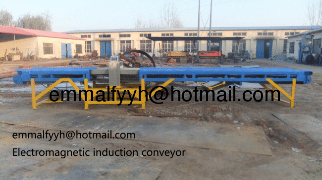 Efficient Roller Conveyor China Manufacturer