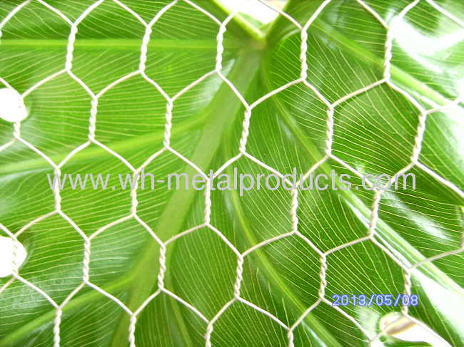 poultry chicken netting fence