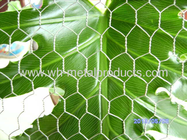 Poultry Net hexagonal opening weave