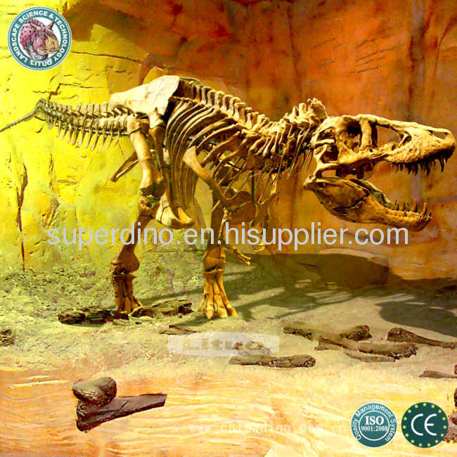 Life Size Fiberglass Dinosaur Skeleton 