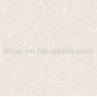 SOLUBLE SALT MSP6039T Polished Tile