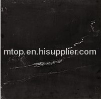 SOLUBLE SALT-ML2206 Polished Tile