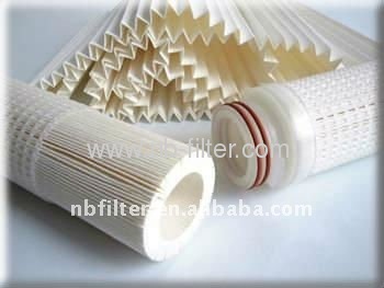 Absolute Rated PP Pleated Membrane Filter