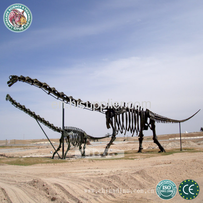 Dinosaur Fossil Replica Life Size
