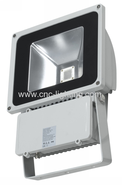 60-100W IP65 COB Led Floodlight with Meanwell driver