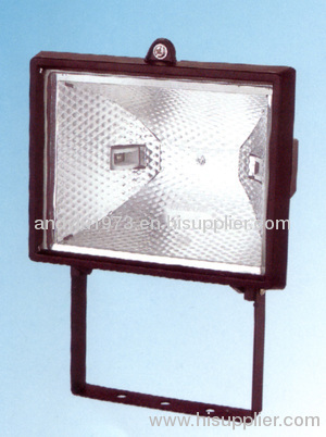 Induction Lamp Flood Light