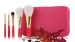 Attractive Makeup brush set