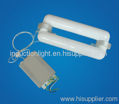 Induction Lamp /Induction light