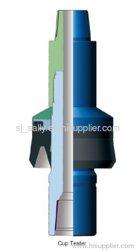 Casing Pressure Testing Plug
