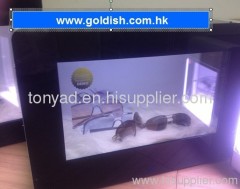 Transparent showcase LCD display