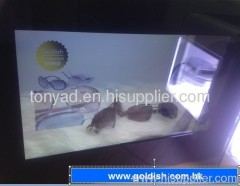 Transparent LCD display showcase