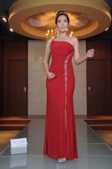 2012 new arrival evening dress