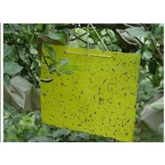 Thrips Whitefly Glue Paper ,Thrips Whitefly Glue TRAPS ,Stick Insect ,Yellow BLUE Board,sticky Paper