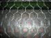 Galvanized hexagonal wire mesh/ PVC coated