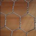 hexagonal wire mesh chicken