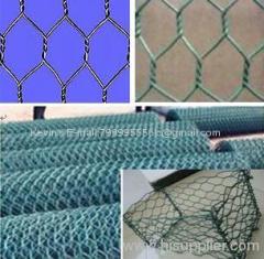Hexagonal Wire Mesh/Hexagonal Wire Netting(factory)