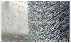 Hexagonal Wire Mesh/Hexagonal Wire Netting(factory)