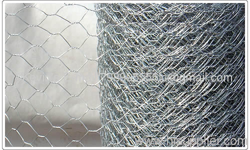 hexagonal wire mesh chicken