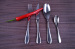 cutlery set knIive and forks table spoon flatware