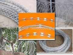 galvanized /PVC coated barbed wire/galvanized/PVC coated razor wire