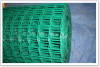 electro galvanized /PCV coated welded wire mesh