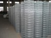 Galvanzied Welded Wire Mesh(ISO9001:2000 FACTORY)