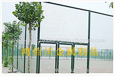 Wire Mesh Fence/Fence Netting/Mesh Fence/Welded Wire Mesh Fence
