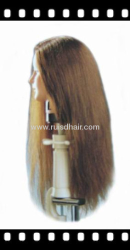 MODEL HEAD 100% HUMAN HAIR GOOD QUALITY HEAD