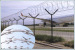 Galvanized+ powder coated Airport Perimeter Fence