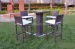 poly rattan bar set