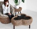 water hyacinth sofa set