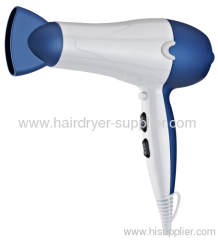 professional hair dryer with ionic / diffuser / AC or DC motor for choice