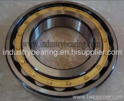 NSK NNU4924K double row cylindrical roller bearing