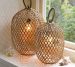 water hyacinth lamp piece