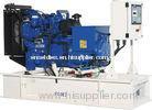50 Hz / 60 Hz Perkins Diesel Generator , 1103A-33TG1 , 4 Stroke