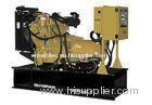 SHUNT IP23 Caterpillar Olympian Diesel Generator With Full Flow