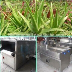 automatic aloes processing line