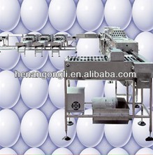 automatic egg processing line