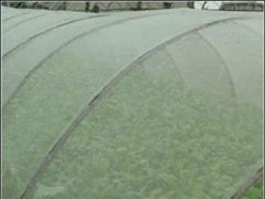 Anti-insect Net anti-bird net Knit Nylon Square Net,Plastic Net agricultural insect net HDPE NET UV NET mesh net