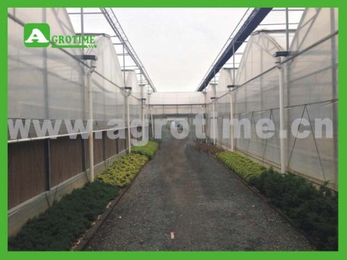 CHINA AGROTIME LTD