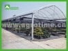 Economical Multi Span Greenhouse