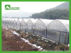 CMA1250 commercial greenhouse hot sell in China