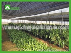 CMA3212commercial greenhouse for agriculture