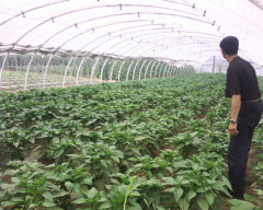 humidify system mist misting system cooler system fog system machine humidify project,mist project