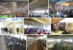 humidify system mist misting system cooler system fog system machine humidify project,mist project