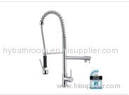 Watermark Spray Kitchen Mixer