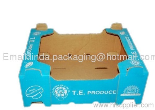 Corrugated Carton Box factory