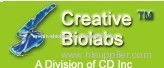 Creative Biolabs